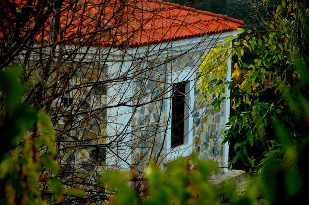 Bed and breakfast Mavikarga Bozcaada Extérieur photo