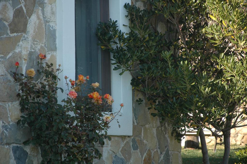 Bed and breakfast Mavikarga Bozcaada Extérieur photo